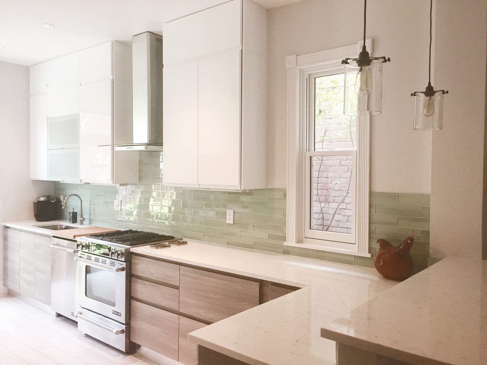 DC Neutral Kitchen Midcentury Kitchen DC Metro by Optima