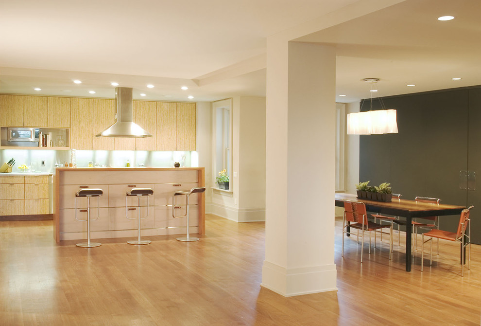 Example of a minimalist open concept kitchen design in DC Metro