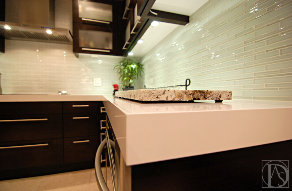 Kitchen - contemporary kitchen idea in Austin