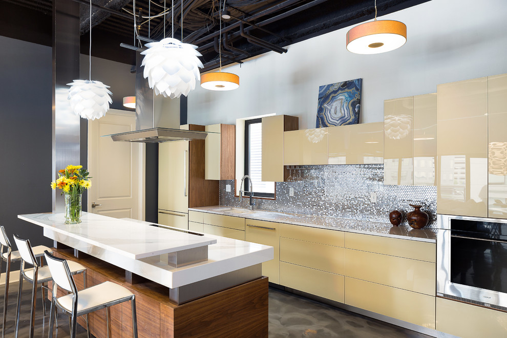 Downtown Kansas City Kitchen Remodel Modern Kitchen Kansas City