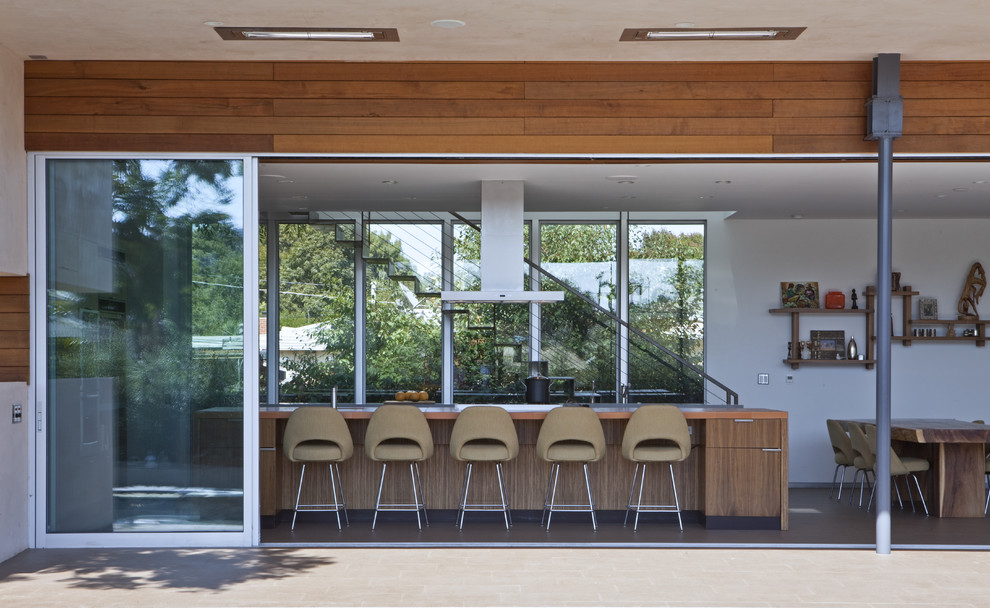 Стильный дизайн: параллельная кухня-гостиная в стиле модернизм с плоскими фасадами и фасадами цвета дерева среднего тона - последний тренд