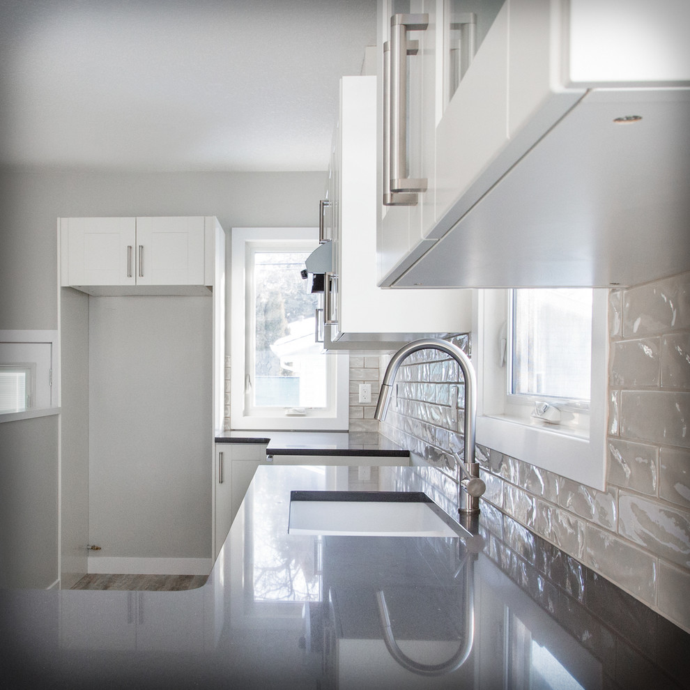 Edmonton Holyrood 2 Full Interior & Exterior Renovation Modern