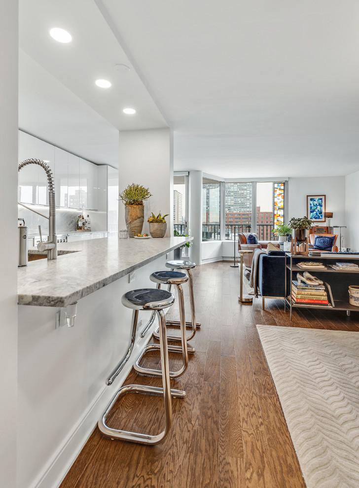 Evanston Condo Kitchen Remodel Contemporary Kitchen Chicago by