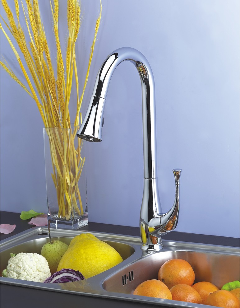 Faucets Kitchen San Francisco by DAWN Houzz
