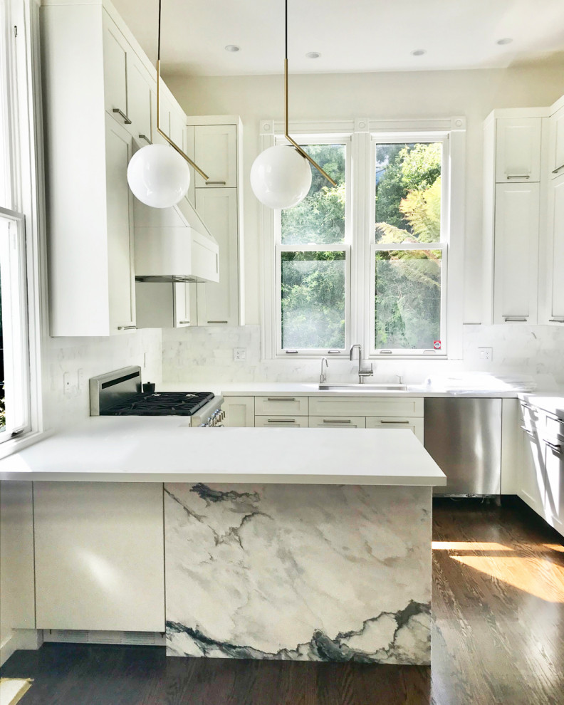 Fillmore District, San Francisco, Kitchen Contemporary Kitchen