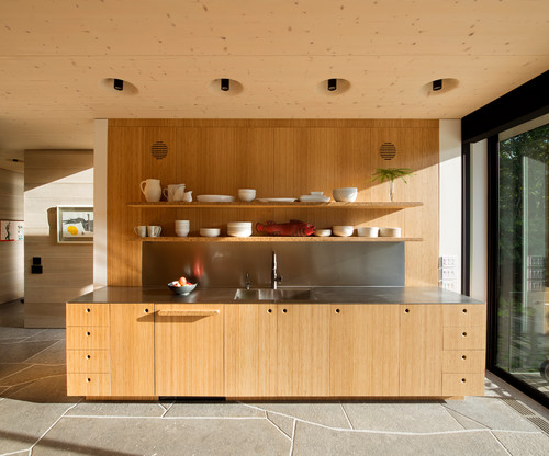 Modern minimalist kitchen with plywood flat-panel cabinets, open shelving, and a stainless countertop/backsplash beside floor-to-ceiling windows.