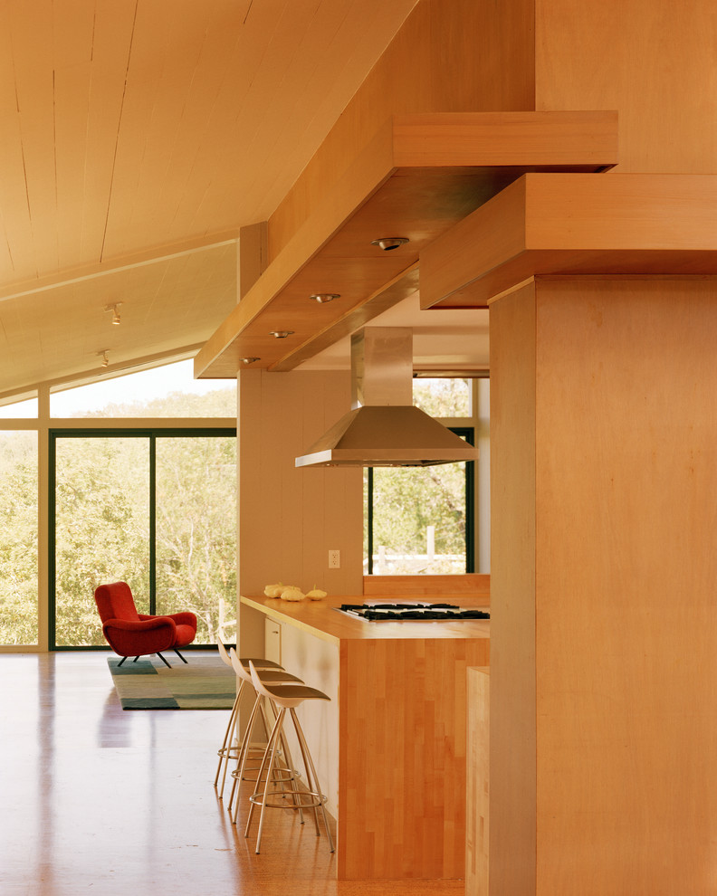 Cette image montre une cuisine minimaliste en bois clair et L de taille moyenne avec un placard à porte plane, un plan de travail en bois, un électroménager en acier inoxydable et un sol en liège.