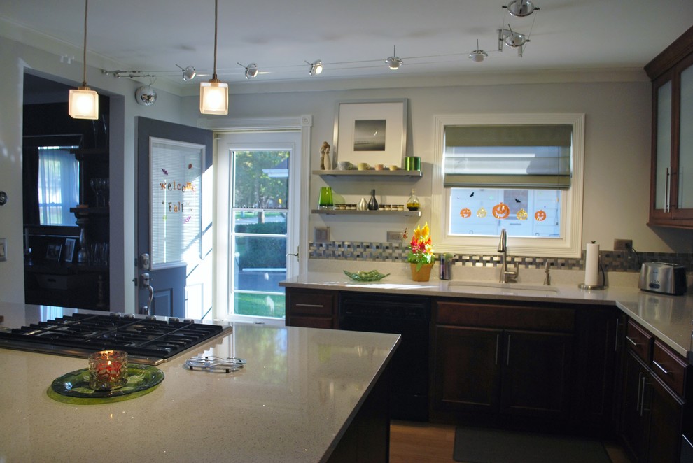 Grace Street, Lombard IL Transitional Kitchen Chicago by
