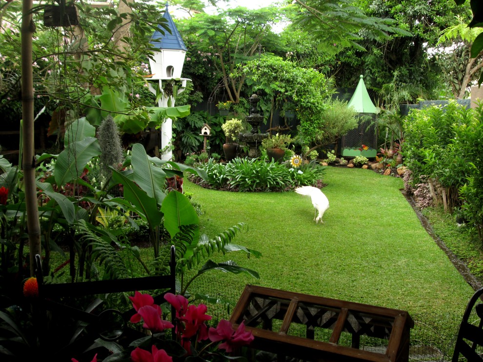 他の地域にあるトロピカルスタイルのおしゃれな庭の写真