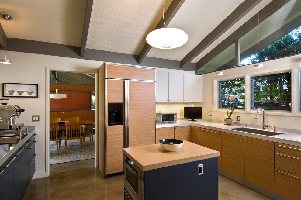 Imagen de cocina minimalista cerrada con armarios con paneles lisos, puertas de armario de madera oscura y electrodomésticos con paneles