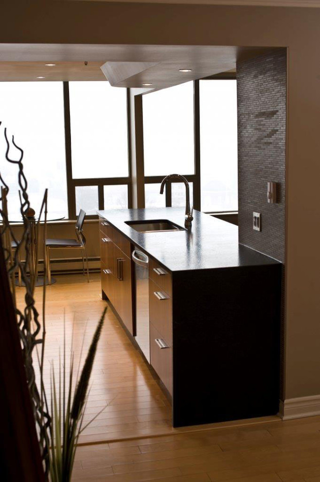 Esempio di una piccola cucina minimal con lavello sottopiano, ante lisce, ante in legno scuro, elettrodomestici in acciaio inossidabile, parquet chiaro e pavimento beige