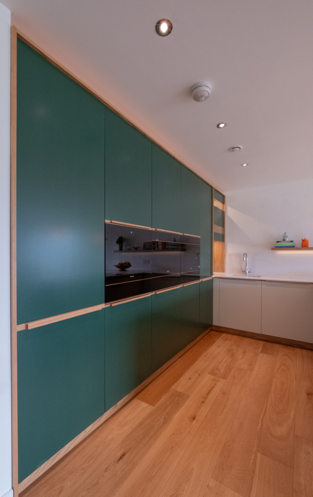 Medium sized contemporary u-shaped kitchen/diner in Hampshire with flat-panel cabinets, green cabinets and a breakfast bar.