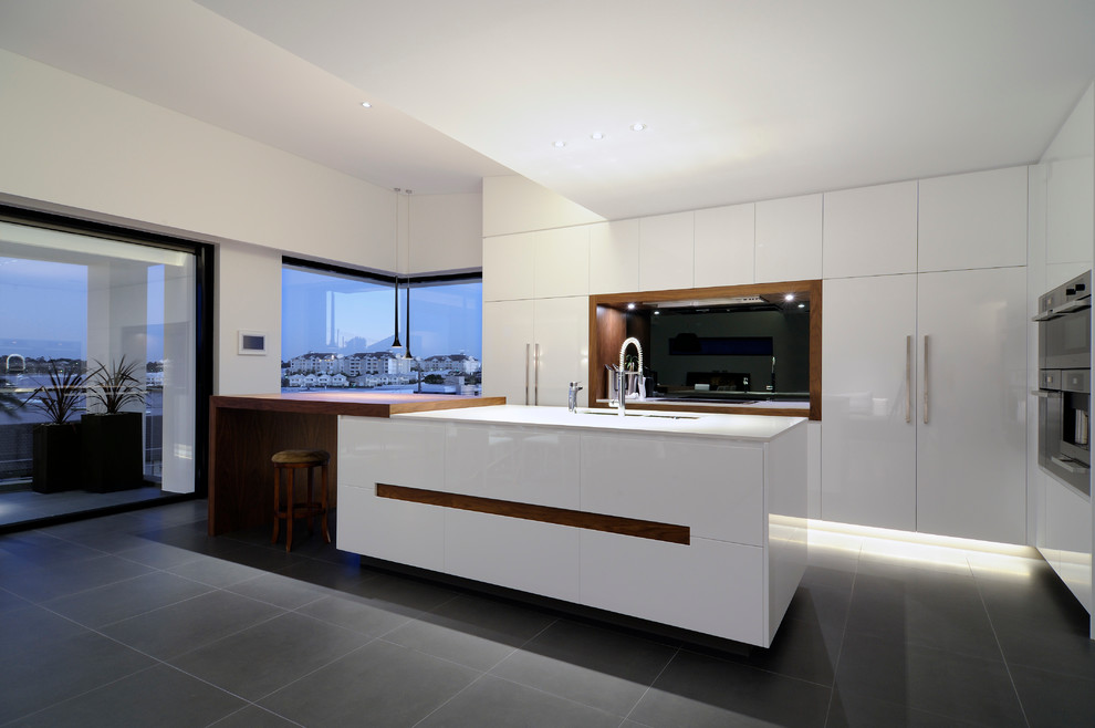 Trendy kitchen photo in Sydney