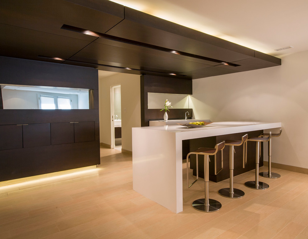 Photo of a medium sized contemporary single-wall kitchen in DC Metro with a single-bowl sink, flat-panel cabinets, dark wood cabinets, engineered stone countertops, stainless steel appliances, porcelain flooring and an island.