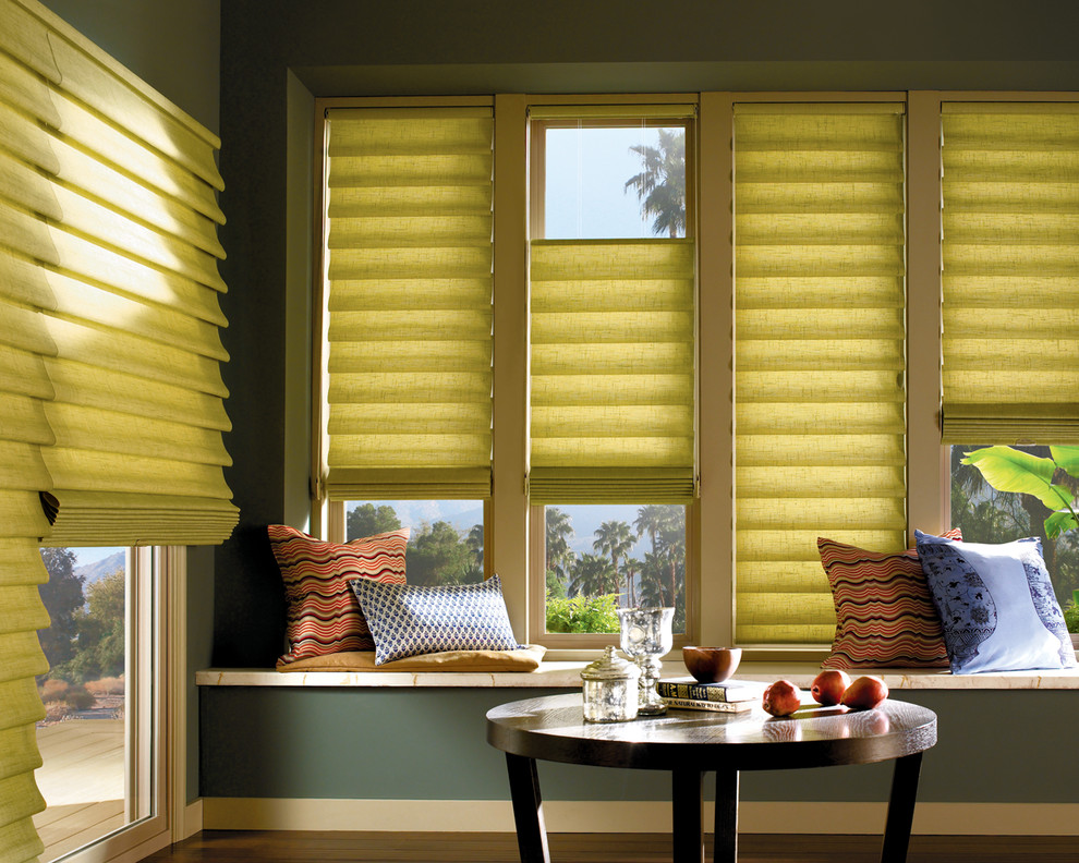 Hunter Douglas Roman Shade GalleryRoman blinds, Roman shades, Pleated roman blin Contemporary
