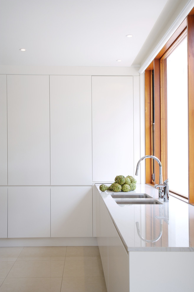 Aménagement d'une cuisine contemporaine avec un évier 2 bacs, un placard à porte plane et des portes de placard blanches.