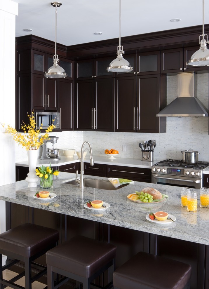 Inspiration for a transitional kitchen remodel in Toronto with an undermount sink, shaker cabinets, dark wood cabinets, white backsplash and stainless steel appliances