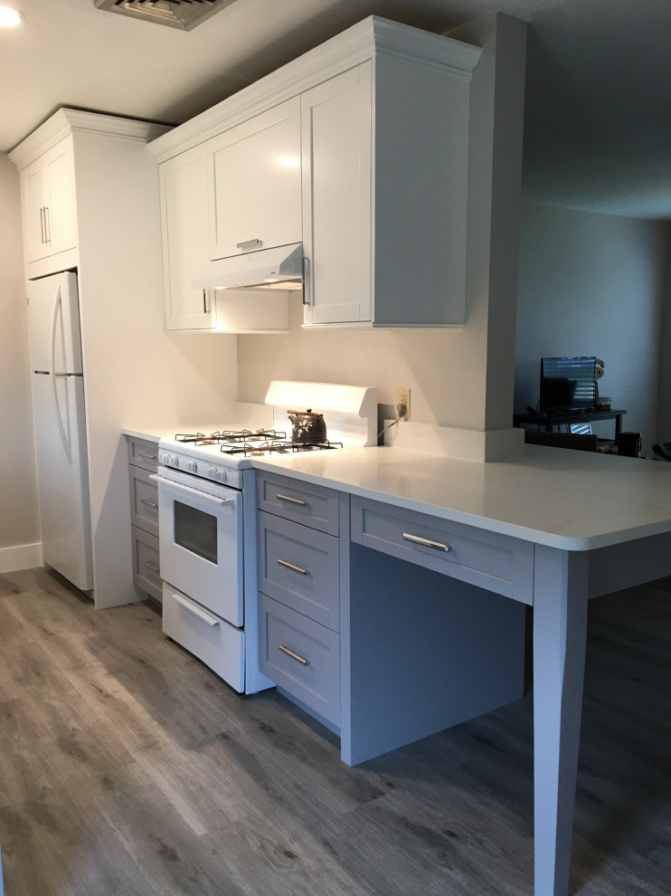 Jensen Beach Complete Remodel Transitional Kitchen Orlando by