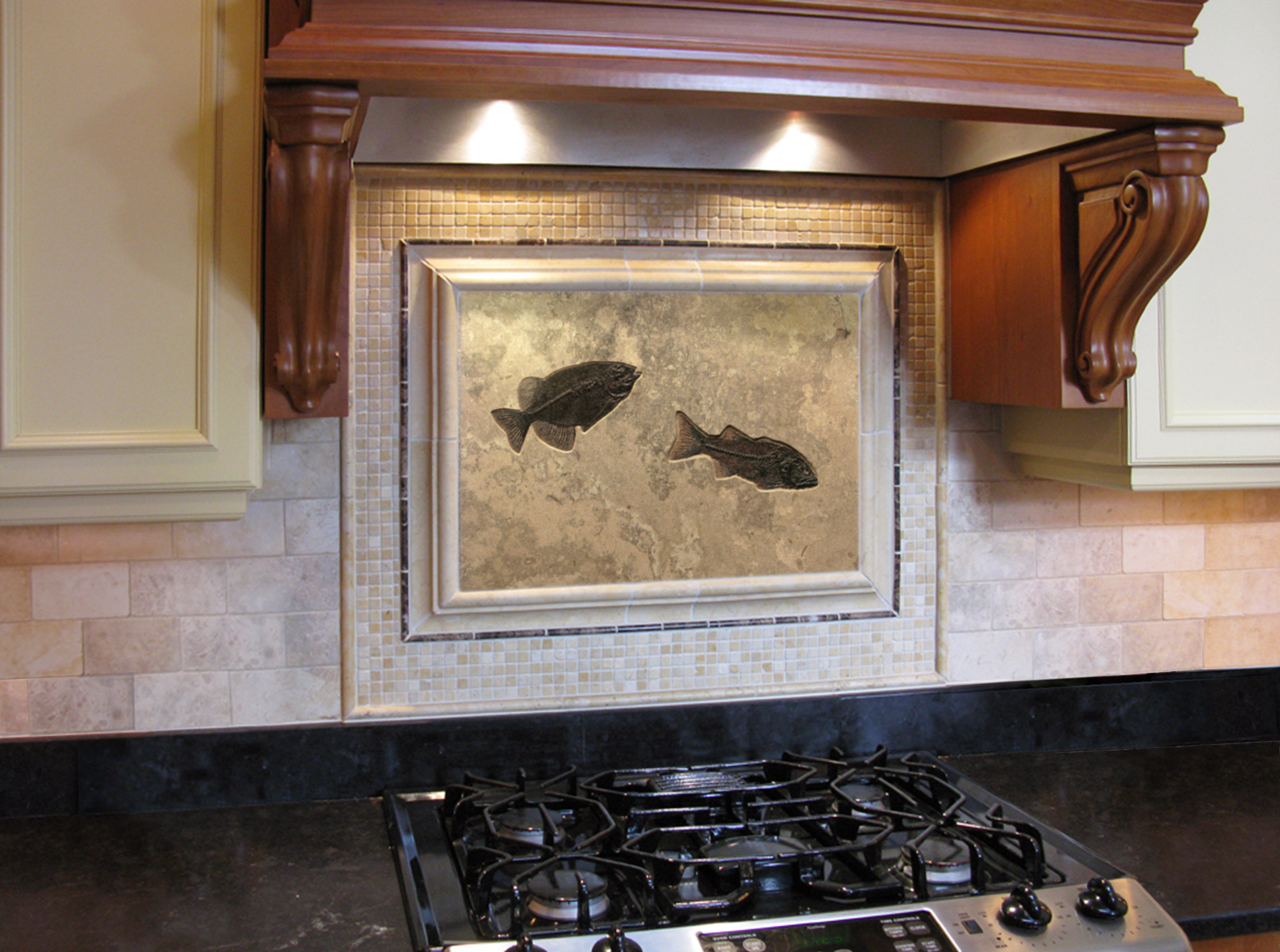 FOSSIL FISH BACK SPLASH  Tile backsplashes, Backsplash, Stone backsplash