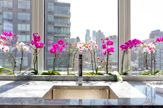Can Orchids Be Grown Indoors 
