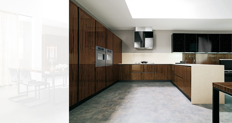 kitchen cabinets - Modern - Kitchen - Los Angeles - by Euro Interior ...