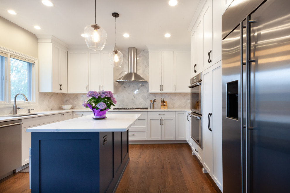 Kitchen in Elmhurst, Illinois Transitional Kitchen