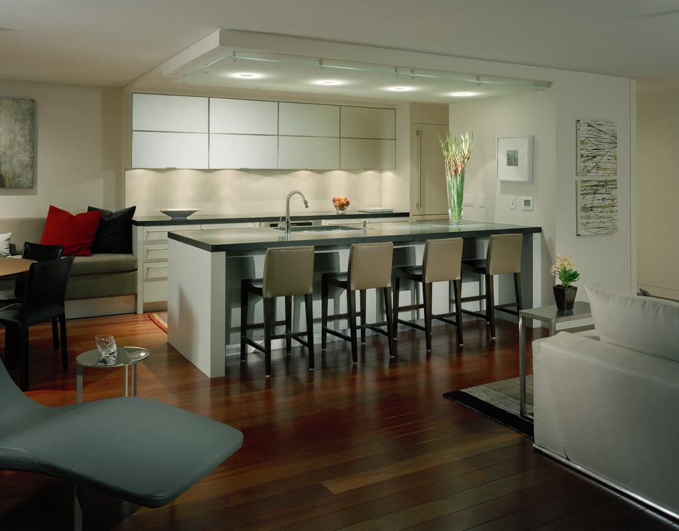 На фото: параллельная кухня-гостиная в современном стиле с плоскими фасадами, белыми фасадами и барной стойкой с
