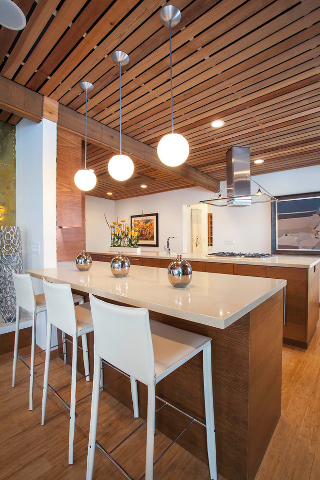 Immagine di una grande cucina moderna con ante lisce, pavimento in legno massello medio, ante in legno scuro, elettrodomestici in acciaio inossidabile, top in quarzite e pavimento marrone