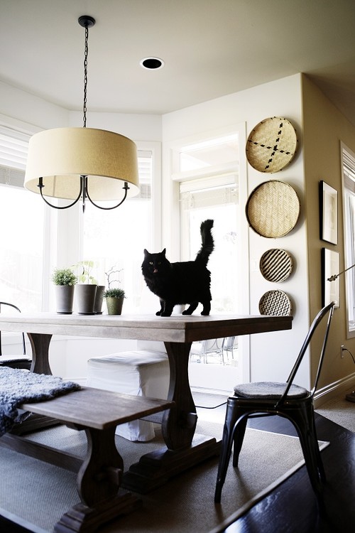 インテリアの色を猫と合わせたら 10のアイデア Houzz ハウズ