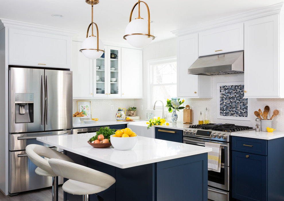 ワシントンD.C.にあるトランジショナルスタイルのおしゃれなキッチン (エプロンフロントシンク、シェーカースタイル扉のキャビネット、白いキャビネット、マルチカラーのキッチンパネル、モザイクタイルのキッチンパネル、シルバーの調理設備) の写真