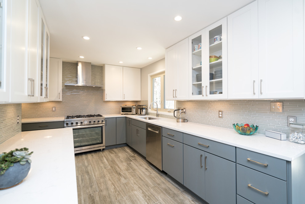 Modern kitchen in DC Metro.