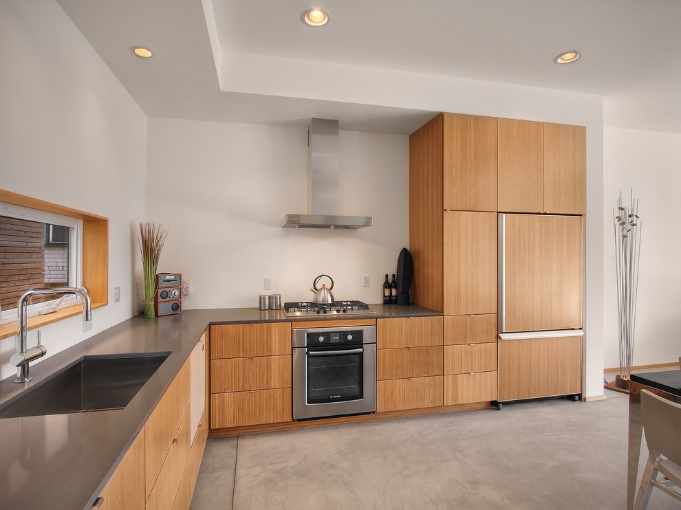 Ejemplo de cocina contemporánea con fregadero bajoencimera, armarios con paneles lisos, puertas de armario de madera oscura y electrodomésticos con paneles
