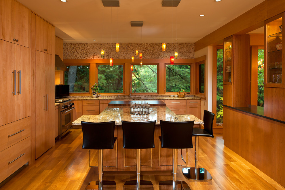 Idée de décoration pour une cuisine design avec un plan de travail en granite et un placard à porte plane.