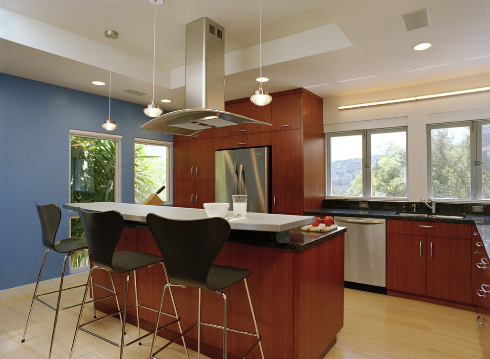 This is an example of a medium sized contemporary l-shaped enclosed kitchen in San Francisco with stainless steel appliances, flat-panel cabinets, dark wood cabinets, a submerged sink, granite worktops, light hardwood flooring, an island, brown floors and a feature wall.