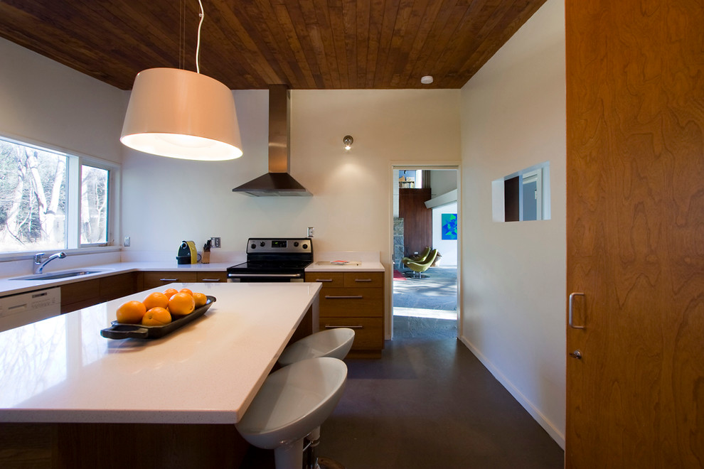 Foto di una cucina minimalista chiusa e di medie dimensioni con ante lisce, elettrodomestici in acciaio inossidabile, lavello sottopiano, ante in legno bruno e paraspruzzi bianco