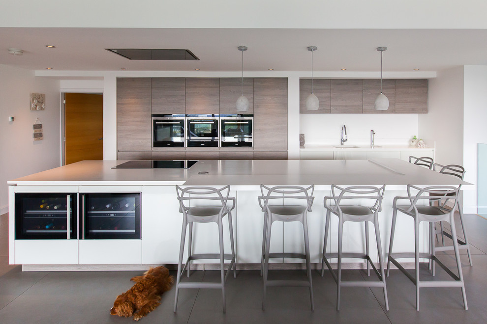 Zweizeilige Moderne Küche mit Unterbauwaschbecken, flächenbündigen Schrankfronten, hellen Holzschränken, Küchengeräten aus Edelstahl und Kücheninsel in Sonstige