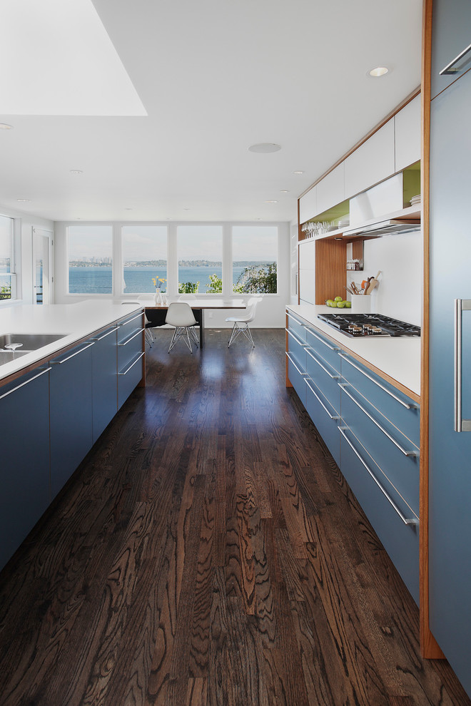 Diseño de cocina comedor alargada actual con fregadero de doble seno, armarios con paneles lisos, puertas de armario azules y electrodomésticos con paneles