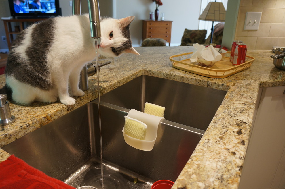 Lilburn Inside and Out Traditional Kitchen Atlanta by HwRenewal