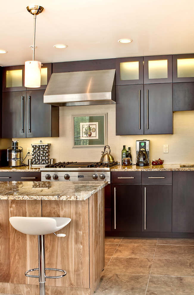 Cette image montre une cuisine design avec des portes de placard noires.