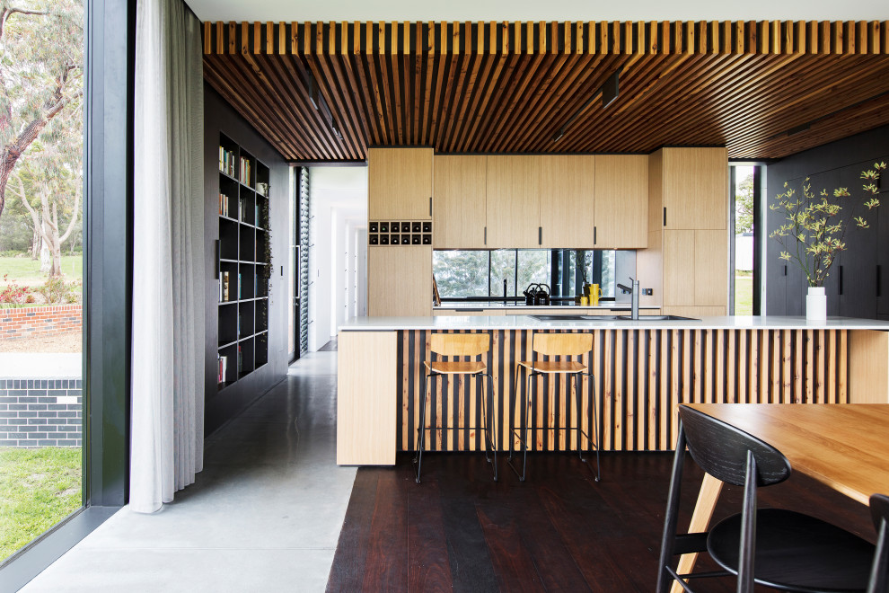Zweizeilige Wohnküche mit Doppelwaschbecken, hellen Holzschränken, schwarzen Elektrogeräten und dunklem Holzboden in Sonstige