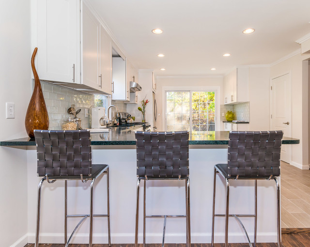 Livingston, NJ White WOLF Classic Kitchen Modern Küche Sonstige