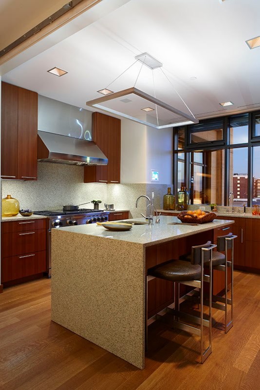 Offene Moderne Küche mit dunklen Holzschränken, Küchengeräten aus Edelstahl, braunem Holzboden und zwei Kücheninseln in Detroit