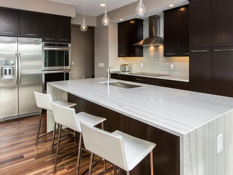 Example of a trendy kitchen design in Other with quartzite countertops