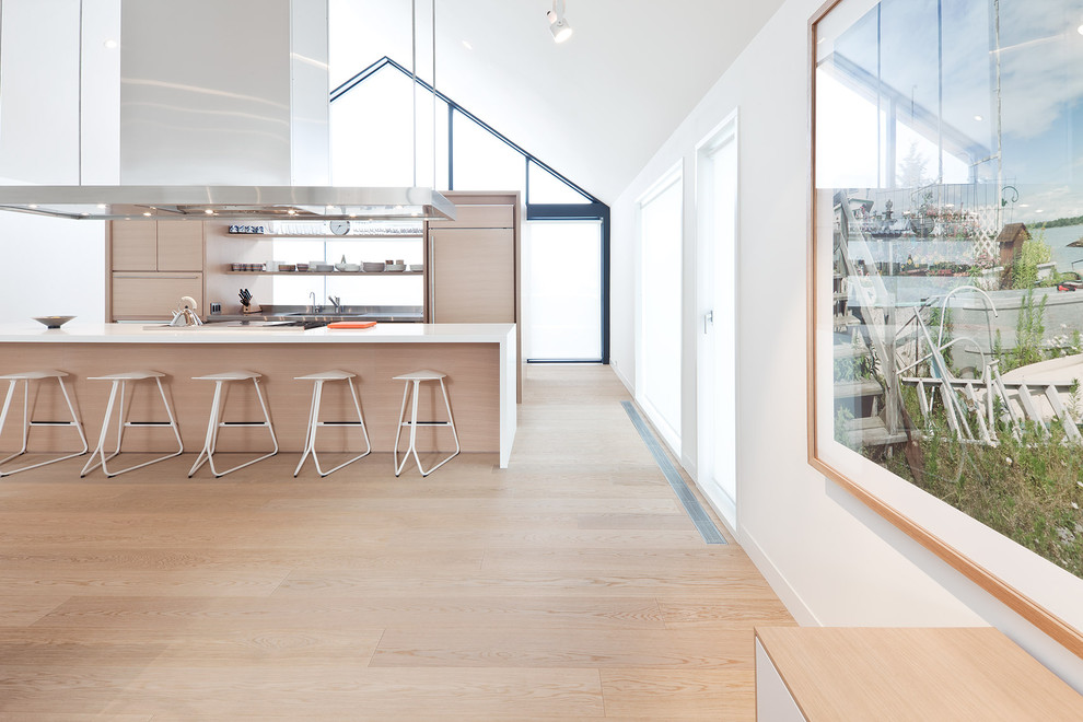 This is an example of a scandinavian kitchen in Toronto.