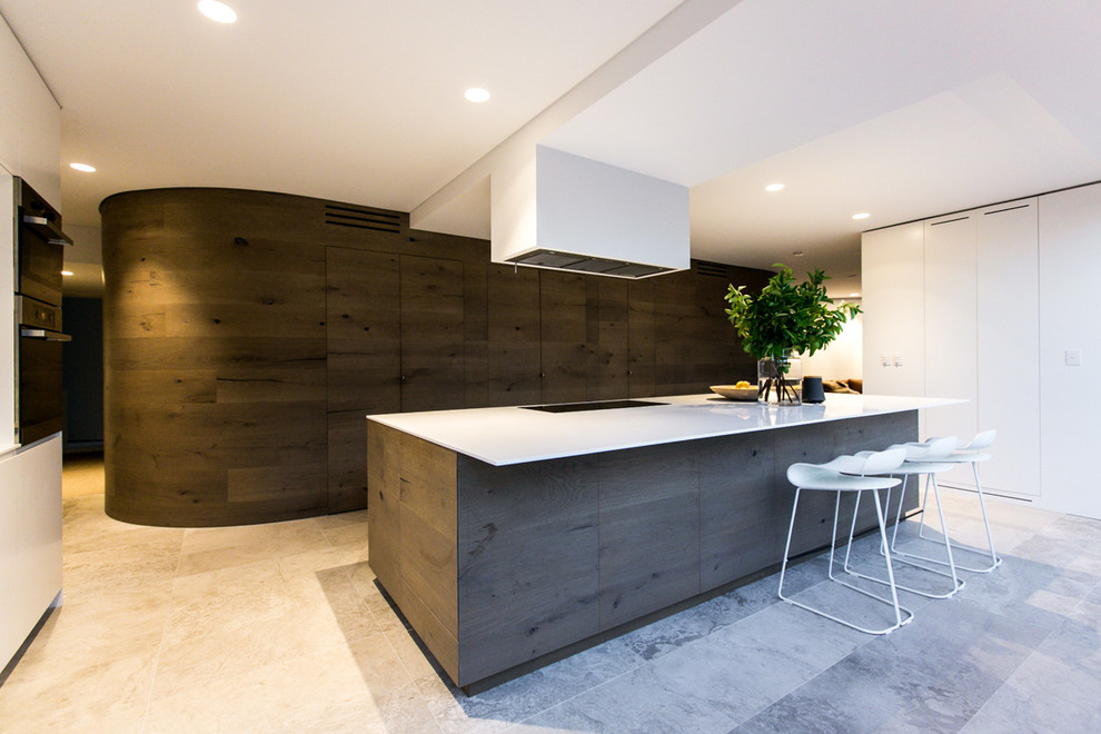 Zweizeilige, Große Moderne Küche mit flächenbündigen Schrankfronten, dunklen Holzschränken und Kücheninsel in Sydney