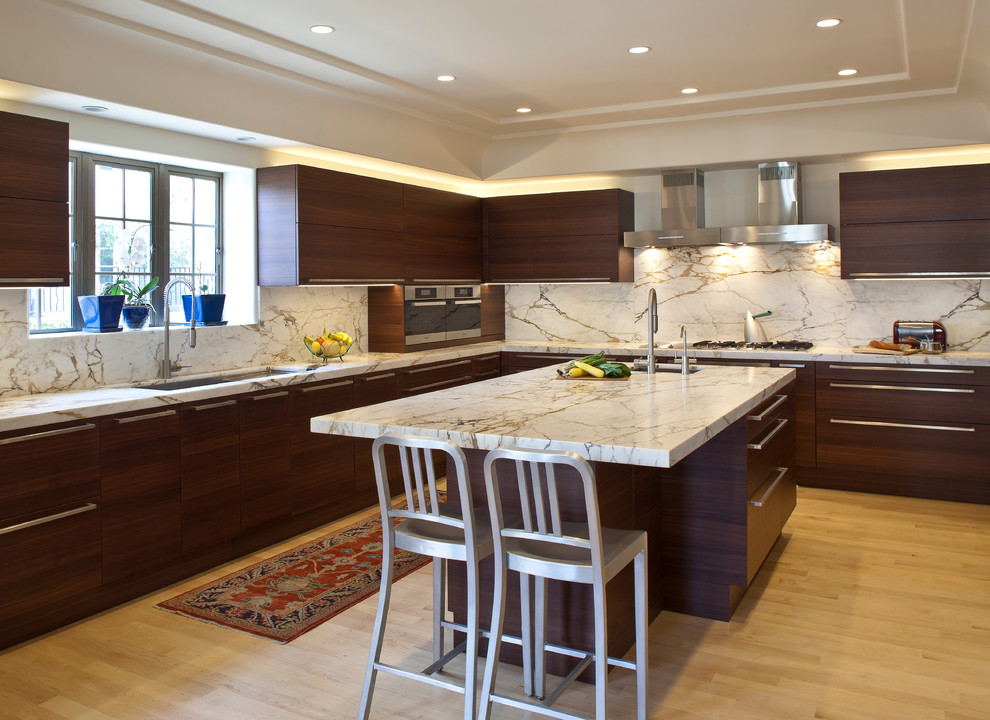 Kitchen - contemporary kitchen idea in Los Angeles with stainless steel appliances