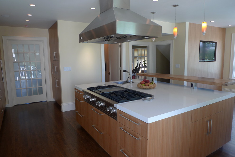 McAuley Contemporary Kitchen San Francisco by Worthington