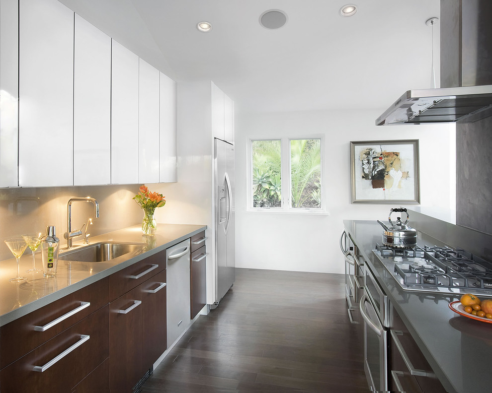 Design ideas for a modern galley kitchen in Santa Barbara with a submerged sink and stainless steel appliances.