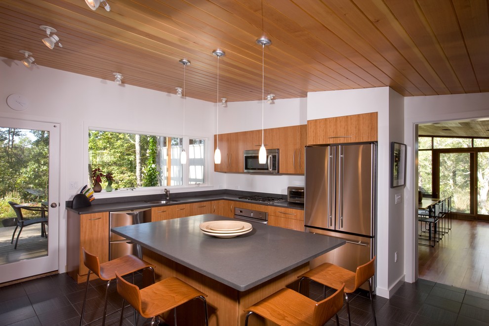 Design ideas for a midcentury kitchen in Boston with stainless steel appliances.