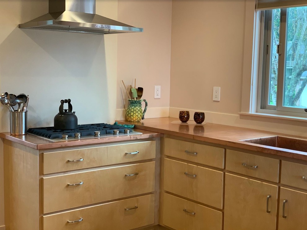 Example of a mid-sized mid-century modern l-shaped eat-in kitchen design in Other with stainless steel appliances and no island